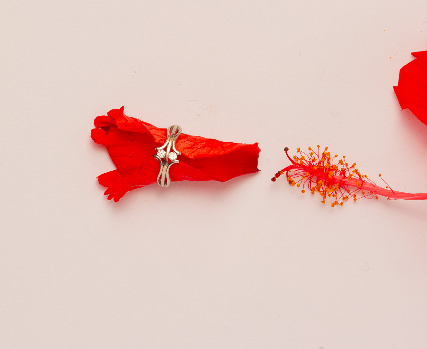 Adjustable Diamond Silver Ring