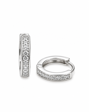Diamond Dust Silver Earrings