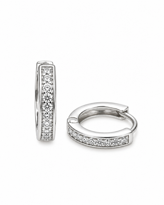 Diamond Dust Silver Earrings
