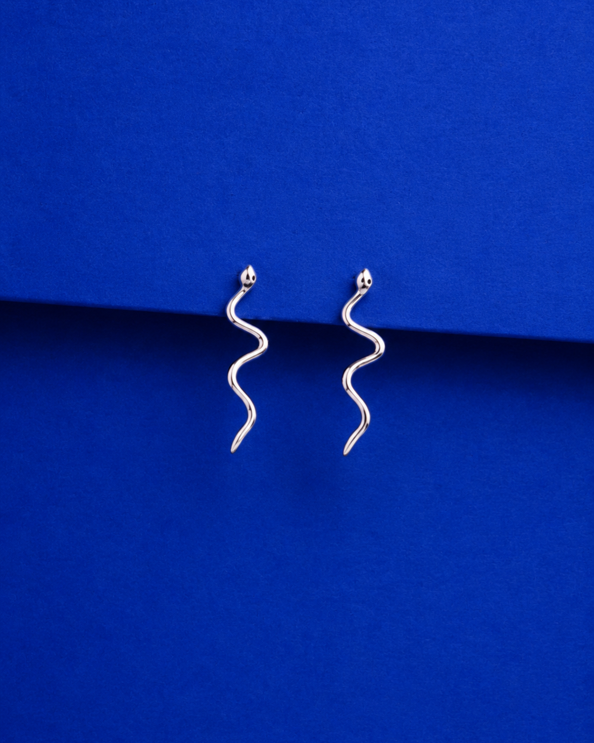 Serpentine Wave Drop Earrings | 92.5 Sterling Silver
