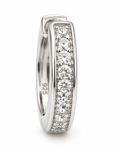 Diamond Dust Silver Earrings