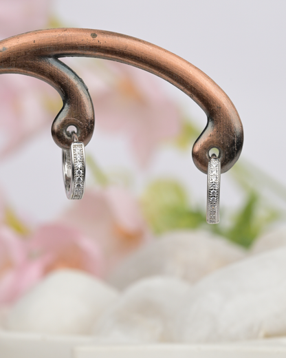 Diamond Dust Silver Earrings