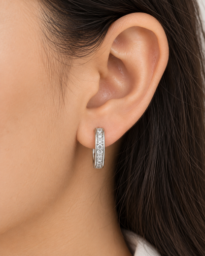 Diamond Dust Silver Earrings