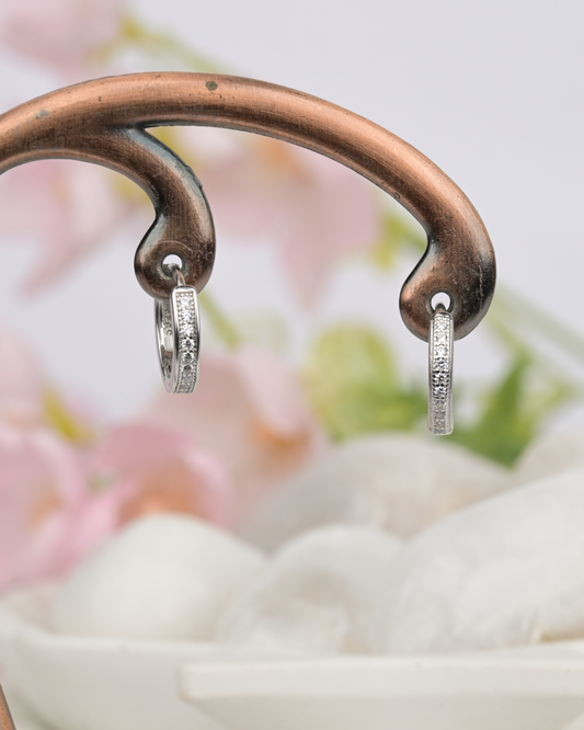Everyday Sparkle Hoop Earrings
