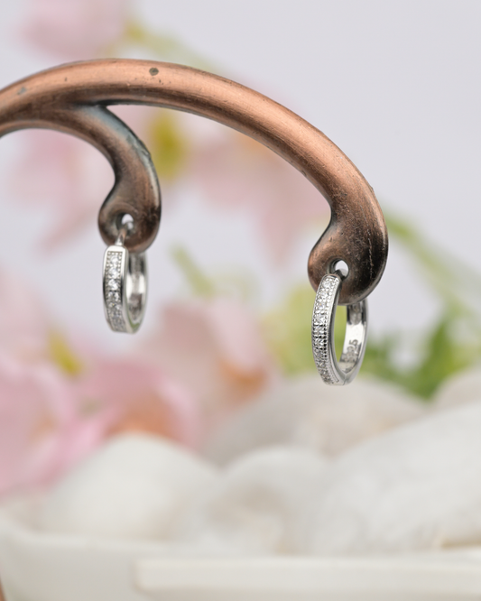 Diamond Dust Silver Earrings