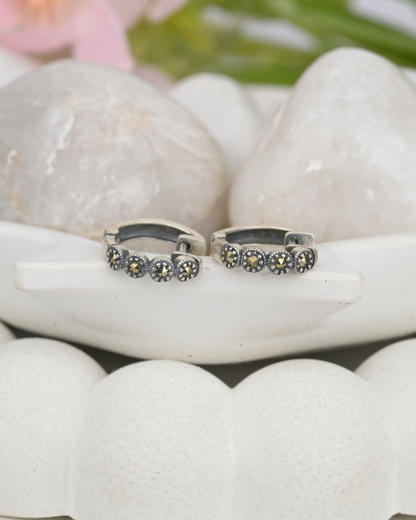Crystal Hoop Earrings
