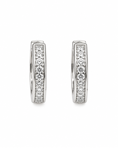Diamond Dust Silver Earrings