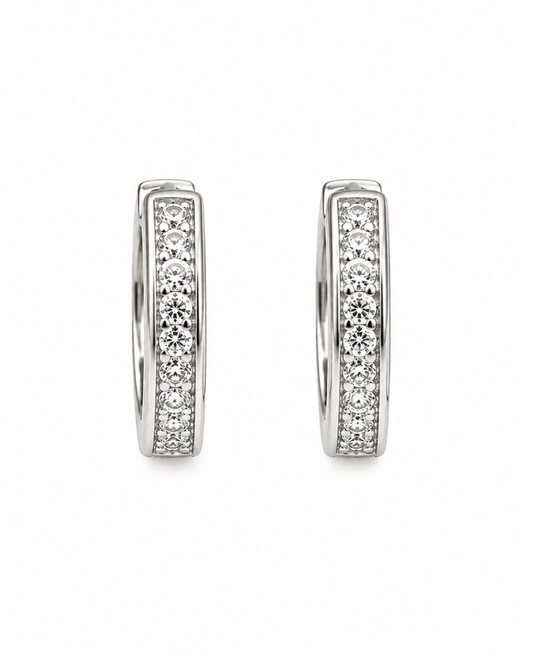 Diamond Dust Silver Earrings